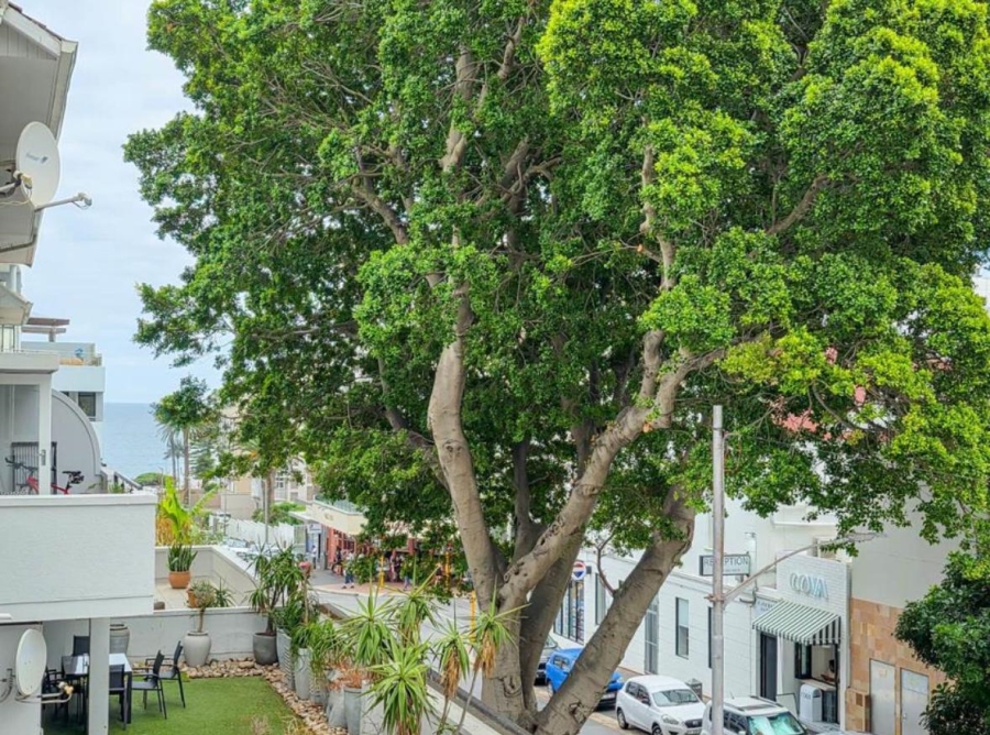 To Let 1 Bedroom Property for Rent in Sea Point Western Cape